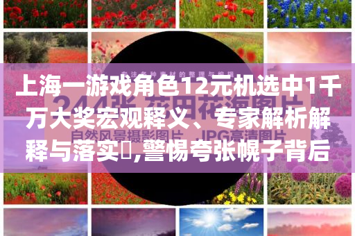 上海一游戲角色12元機(jī)選中1千萬(wàn)大獎(jiǎng)宏觀釋義、專家解析解釋與落實(shí)?,警惕夸張幌子背后