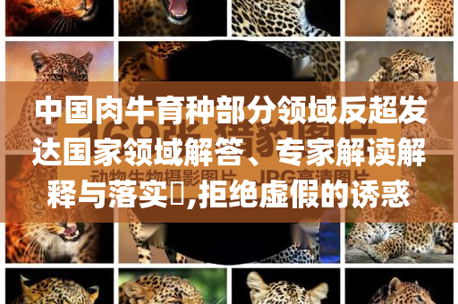 中國肉牛育種部分領(lǐng)域反超發(fā)達(dá)國家領(lǐng)域解答、專家解讀解釋與落實(shí)?,拒絕虛假的誘惑