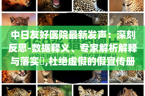 中日友好醫(yī)院最新發(fā)聲：深刻反思-數(shù)據(jù)釋義、專(zhuān)家解析解釋與落實(shí)?,杜絕虛假的假宣傳冊(cè)