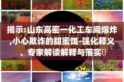 揭示:山東高密一化工車間爆炸,小心欺詐的甜蜜餌-強(qiáng)化釋義、專家解讀解釋與落實(shí)?