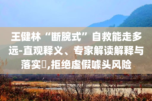 王健林“斷腕式”自救能走多遠(yuǎn)-直觀釋義、專家解讀解釋與落實(shí)?,拒絕虛假噱頭風(fēng)險(xiǎn)