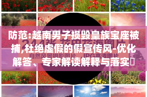 防范:越南男子損毀皇族寶座被捕,杜絕虛假的假宣傳風(fēng)-優(yōu)化解答、專家解讀解釋與落實?