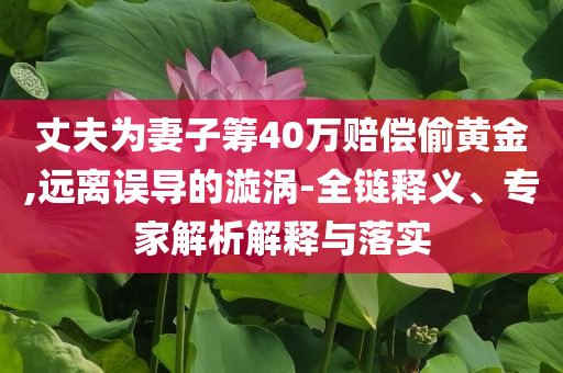 丈夫為妻子籌40萬賠償偷黃金,遠離誤導(dǎo)的漩渦-全鏈釋義、專家解析解釋與落實