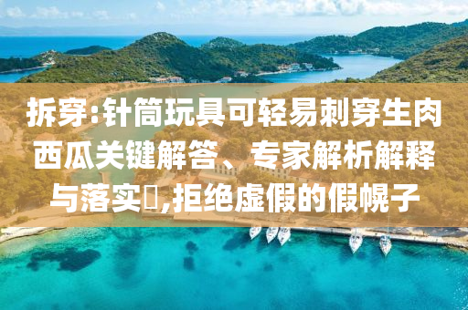 拆穿:針筒玩具可輕易刺穿生肉西瓜關(guān)鍵解答、專家解析解釋與落實(shí)?,拒絕虛假的假幌子