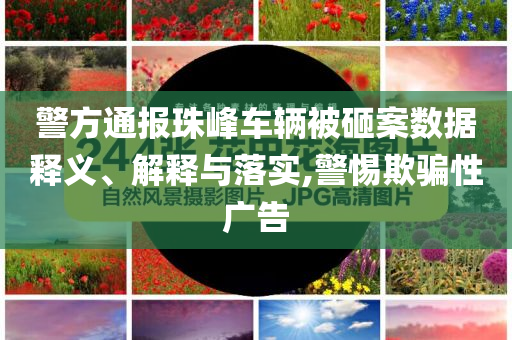 警方通報(bào)珠峰車輛被砸案數(shù)據(jù)釋義、解釋與落實(shí),警惕欺騙性廣告
