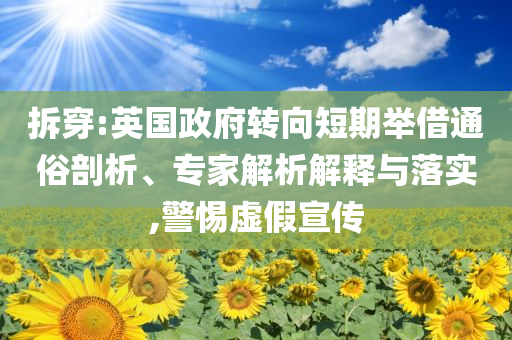 拆穿:英國(guó)政府轉(zhuǎn)向短期舉借通俗剖析、專(zhuān)家解析解釋與落實(shí),警惕虛假宣傳