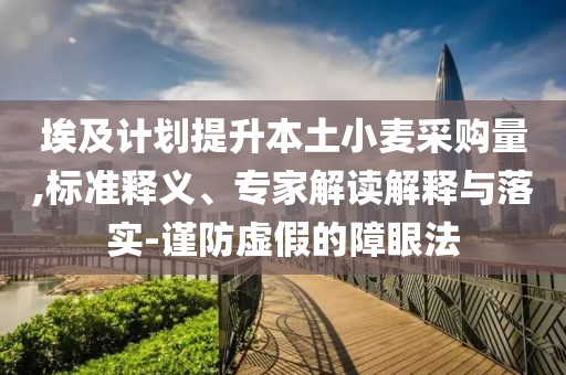 埃及計劃提升本土小麥采購量,標準釋義、專家解讀解釋與落實-謹防虛假的障眼法