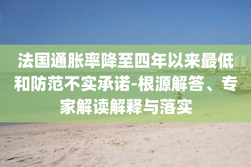 法國通脹率降至四年以來最低和防范不實承諾-根源解答、專家解讀解釋與落實