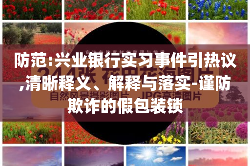 防范:興業(yè)銀行實(shí)習(xí)事件引熱議,清晰釋義、解釋與落實(shí)-謹(jǐn)防欺詐的假包裝鎖