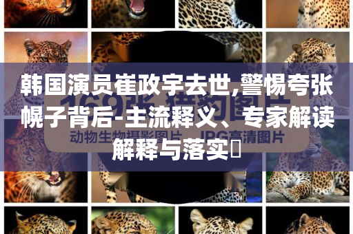 韓國演員崔政宇去世,警惕夸張幌子背后-主流釋義、專家解讀解釋與落實?
