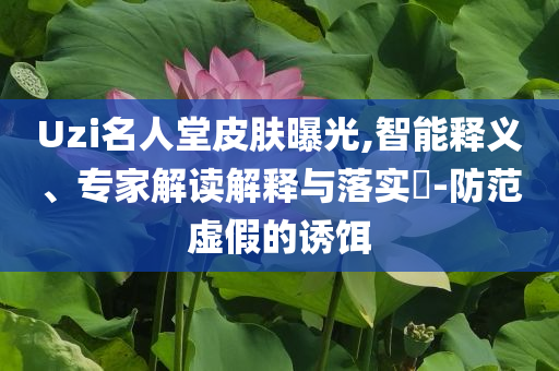 Uzi名人堂皮膚曝光,智能釋義、專家解讀解釋與落實(shí)?-防范虛假的誘餌