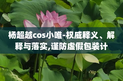 楊超越cos小唯-權(quán)威釋義、解釋與落實(shí),謹(jǐn)防虛假包裝計(jì)