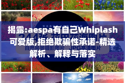 揭露:aespa有自己Whiplash可愛(ài)版,拒絕欺騙性承諾-精選解析、解釋與落實(shí)
