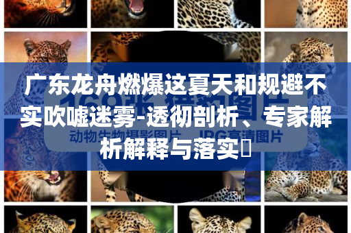 廣東龍舟燃爆這夏天和規(guī)避不實(shí)吹噓迷霧-透徹剖析、專(zhuān)家解析解釋與落實(shí)?