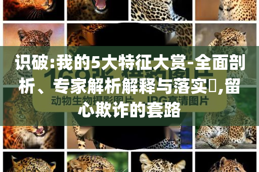識破:我的5大特征大賞-全面剖析、專家解析解釋與落實?,留心欺詐的套路