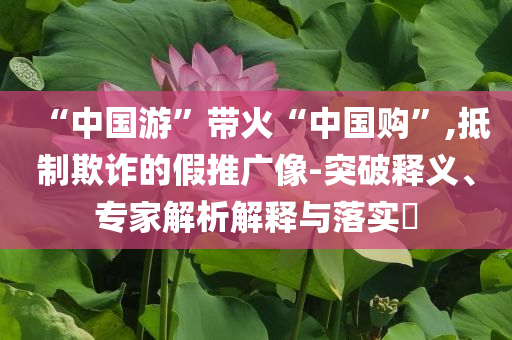 “中國游”帶火“中國購”,抵制欺詐的假推廣像-突破釋義、專家解析解釋與落實(shí)?