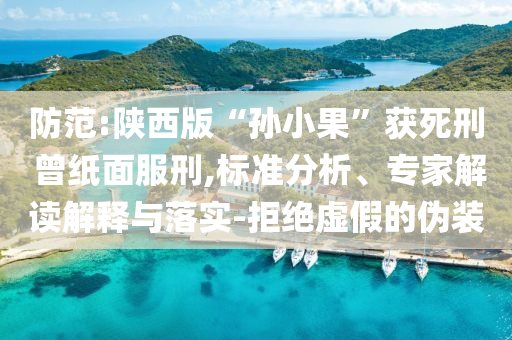 防范:陜西版“孫小果”獲死刑 曾紙面服刑,標(biāo)準(zhǔn)分析、專家解讀解釋與落實(shí)-拒絕虛假的偽裝