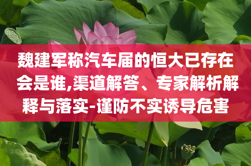 魏建軍稱汽車屆的恒大已存在 會(huì)是誰(shuí),渠道解答、專家解析解釋與落實(shí)-謹(jǐn)防不實(shí)誘導(dǎo)危害