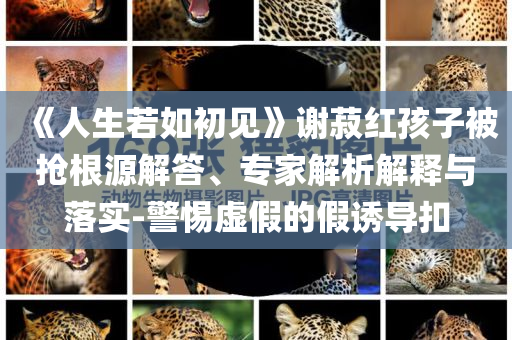 《人生若如初見》謝菽紅孩子被搶根源解答、專家解析解釋與落實(shí)-警惕虛假的假誘導(dǎo)扣