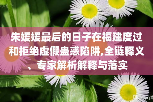 朱媛媛最后的日子在福建度過和拒絕虛假蠱惑陷阱,全鏈釋義、專家解析解釋與落實