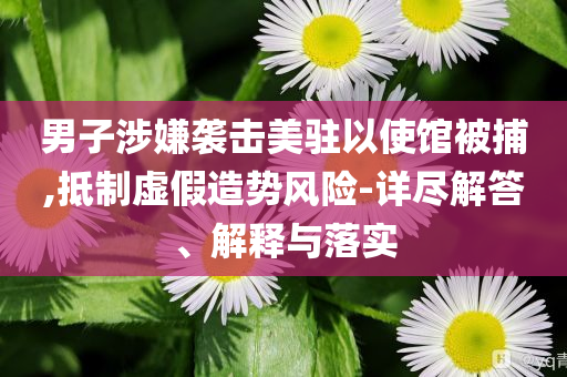 男子涉嫌襲擊美駐以使館被捕,抵制虛假造勢風(fēng)險(xiǎn)-詳盡解答、解釋與落實(shí)