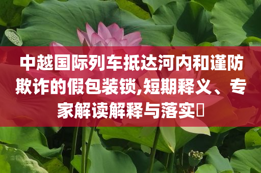中越國際列車抵達河內(nèi)和謹防欺詐的假包裝鎖,短期釋義、專家解讀解釋與落實?