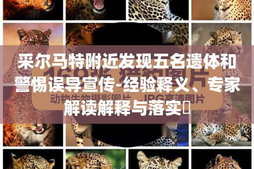 采爾馬特附近發(fā)現(xiàn)五名遺體和警惕誤導宣傳-經(jīng)驗釋義、專家解讀解釋與落實?