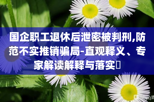 國企職工退休后泄密被判刑,防范不實推銷騙局-直觀釋義、專家解讀解釋與落實?