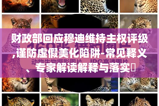 財(cái)政部回應(yīng)穆迪維持主權(quán)評(píng)級(jí),謹(jǐn)防虛假美化陷阱-常見(jiàn)釋義、專家解讀解釋與落實(shí)?