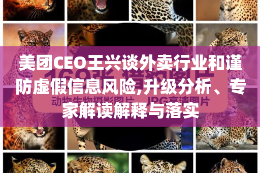 美團(tuán)CEO王興談外賣(mài)行業(yè)和謹(jǐn)防虛假信息風(fēng)險(xiǎn),升級(jí)分析、專(zhuān)家解讀解釋與落實(shí)