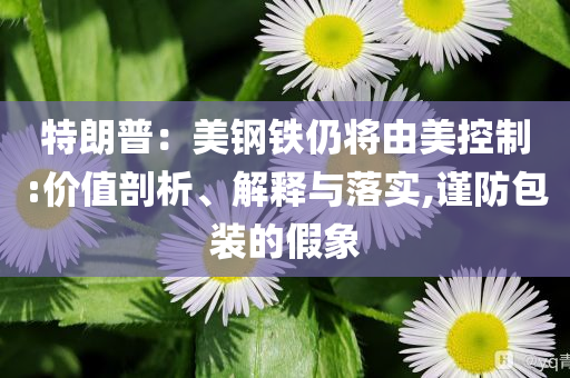 特朗普：美鋼鐵仍將由美控制:價(jià)值剖析、解釋與落實(shí),謹(jǐn)防包裝的假象