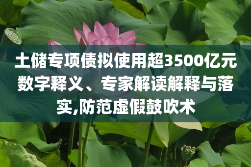 土儲(chǔ)專(zhuān)項(xiàng)債擬使用超3500億元數(shù)字釋義、專(zhuān)家解讀解釋與落實(shí),防范虛假鼓吹術(shù)