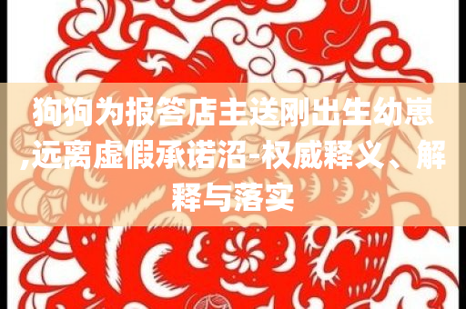 狗狗為報答店主送剛出生幼崽,遠離虛假承諾沼-權(quán)威釋義、解釋與落實