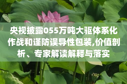 央視披露055萬噸大驅(qū)體系化作戰(zhàn)和謹(jǐn)防誤導(dǎo)性包裝,價值剖析、專家解讀解釋與落實(shí)