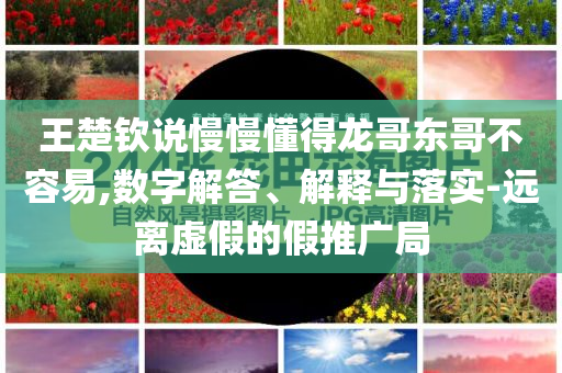 王楚欽說慢慢懂得龍哥東哥不容易,數(shù)字解答、解釋與落實(shí)-遠(yuǎn)離虛假的假推廣局