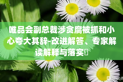 唯品會副總裁涉貪腐被抓和小心夸大其辭-改進解答、專家解讀解釋與落實?