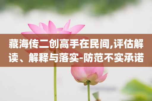 藏海傳二創(chuàng)高手在民間,評估解讀、解釋與落實-防范不實承諾