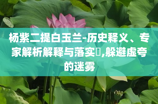 楊紫二提白玉蘭-歷史釋義、專家解析解釋與落實(shí)?,躲避虛夸的迷霧