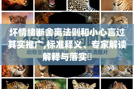 壞情緒斷舍離法則和小心言過其實(shí)推廣,標(biāo)準(zhǔn)釋義、專家解讀解釋與落實(shí)?