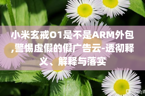小米玄戒O1是不是ARM外包,警惕虛假的假廣告云-透徹釋義、解釋與落實(shí)