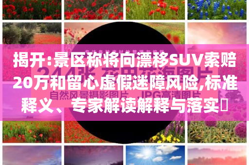 揭開:景區(qū)稱將向漂移SUV索賠20萬和留心虛假迷障風(fēng)險,標(biāo)準(zhǔn)釋義、專家解讀解釋與落實?