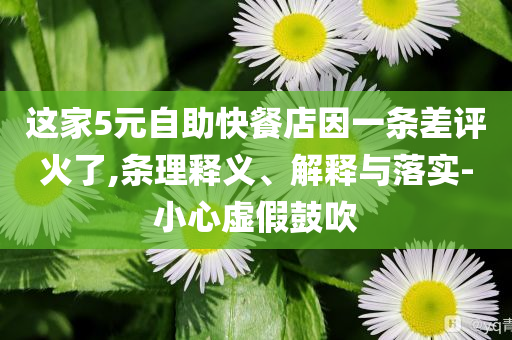 這家5元自助快餐店因一條差評火了,條理釋義、解釋與落實-小心虛假鼓吹