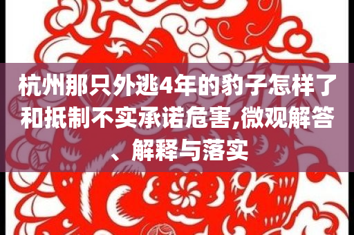杭州那只外逃4年的豹子怎樣了和抵制不實承諾危害,微觀解答、解釋與落實
