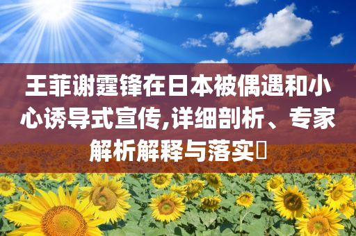 王菲謝霆鋒在日本被偶遇和小心誘導(dǎo)式宣傳,詳細(xì)剖析、專家解析解釋與落實(shí)?
