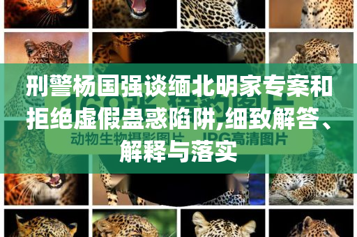 刑警楊國強(qiáng)談緬北明家專案和拒絕虛假蠱惑陷阱,細(xì)致解答、解釋與落實(shí)
