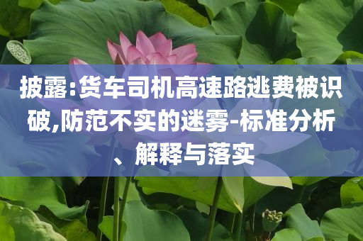 披露:貨車司機(jī)高速路逃費被識破,防范不實的迷霧-標(biāo)準(zhǔn)分析、解釋與落實