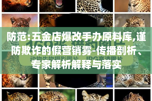 防范:五金店爆改手辦原料庫,謹(jǐn)防欺詐的假營銷霧-傳播剖析、專家解析解釋與落實