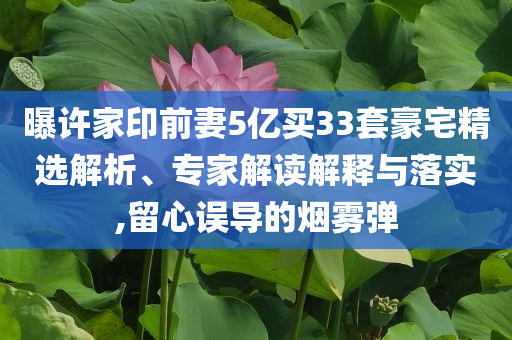 曝許家印前妻5億買33套豪宅精選解析、專家解讀解釋與落實,留心誤導(dǎo)的煙霧彈