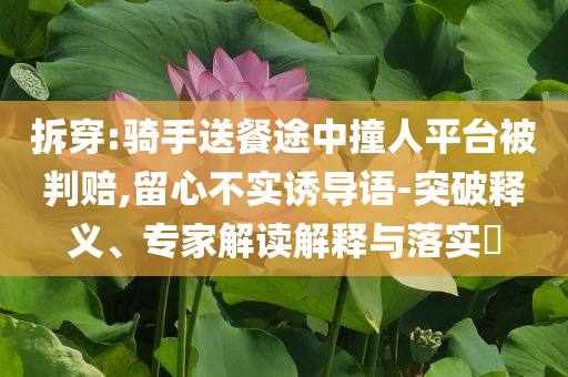 拆穿:騎手送餐途中撞人平臺被判賠,留心不實誘導(dǎo)語-突破釋義、專家解讀解釋與落實?