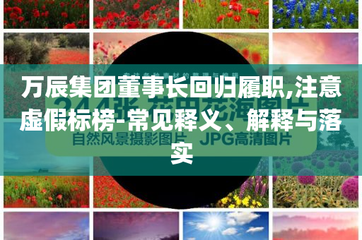 萬(wàn)辰集團(tuán)董事長(zhǎng)回歸履職,注意虛假標(biāo)榜-常見(jiàn)釋義、解釋與落實(shí)